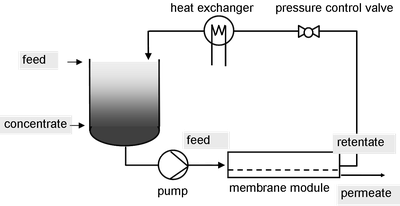 batch process cross-flow filtration